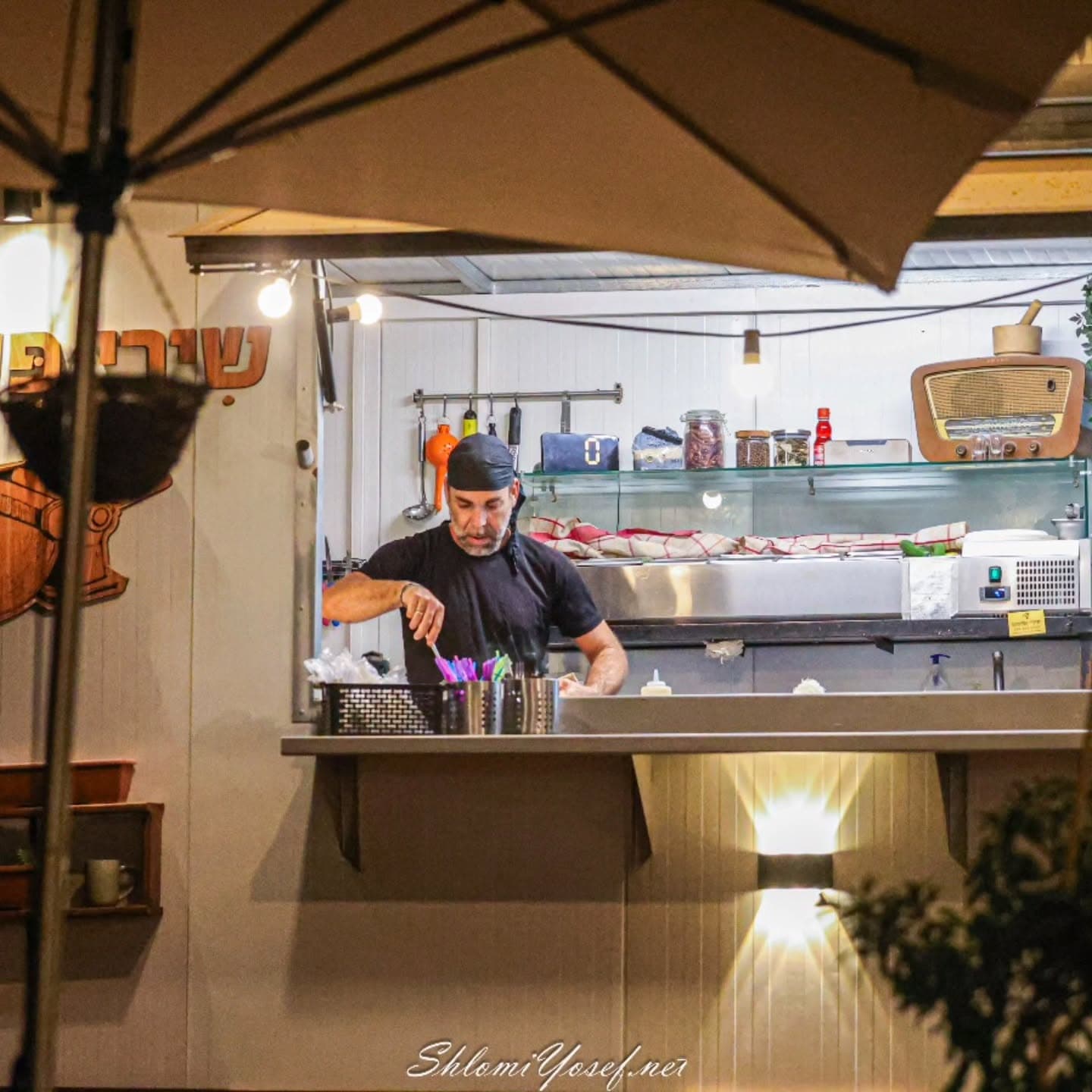 שירי פסטה - דפנה